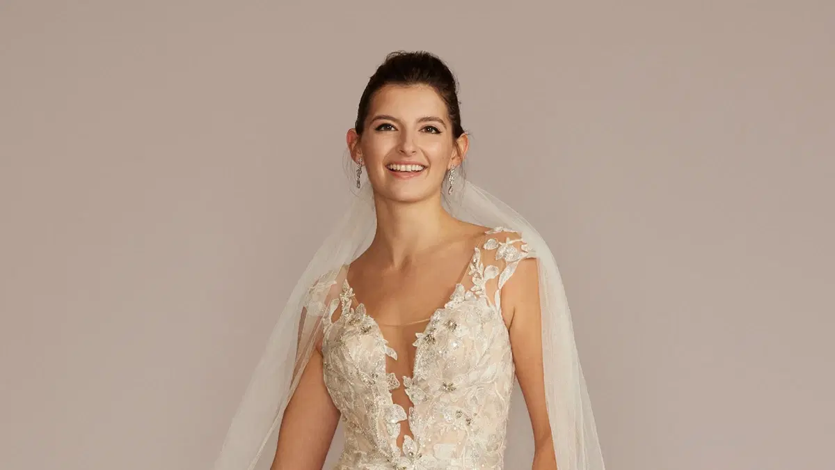 Limited Final Sale: Stunning Wedding Dresses at David's Bridal